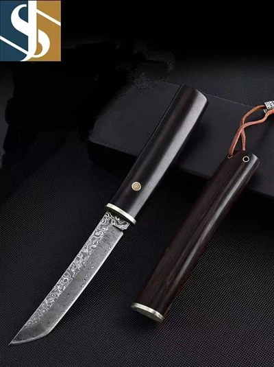 6231731552350_.pic(001)